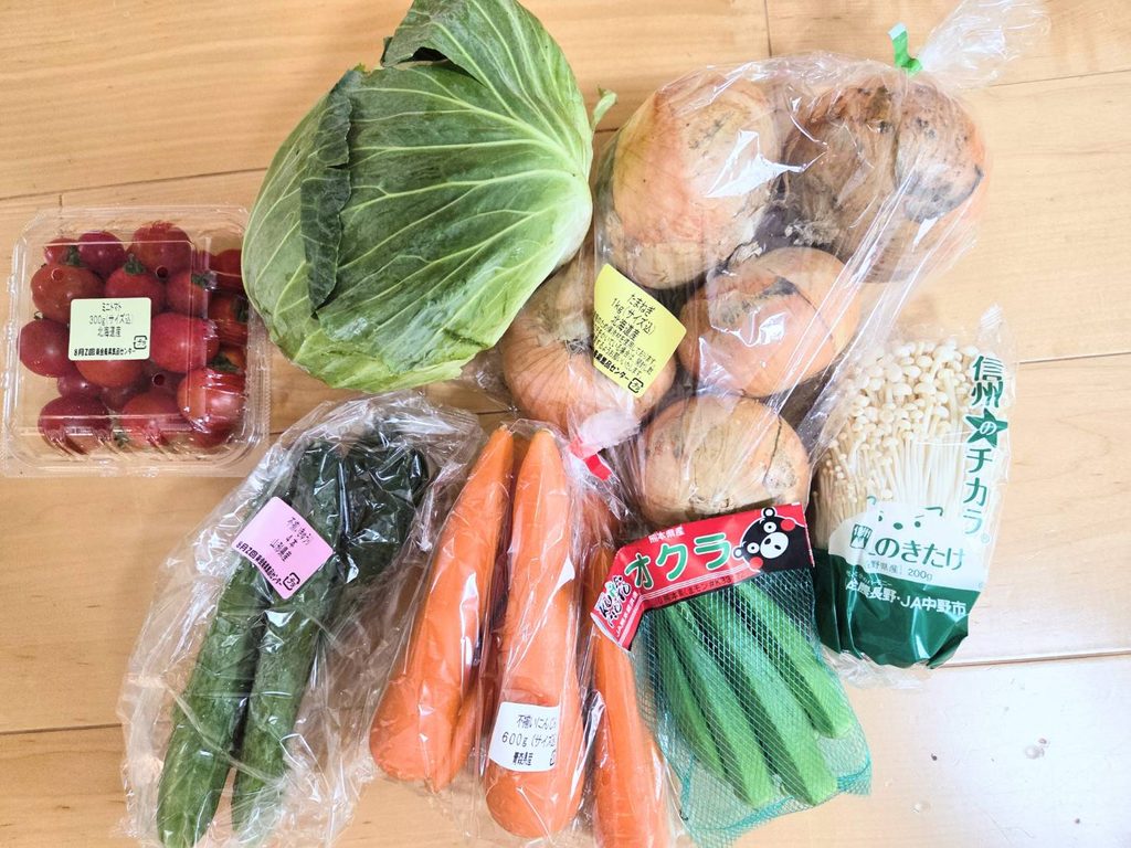 コープデリで届いた野菜。キャベツ・にんじん・きゅうり・トマト・小松菜などが床に並んでいる